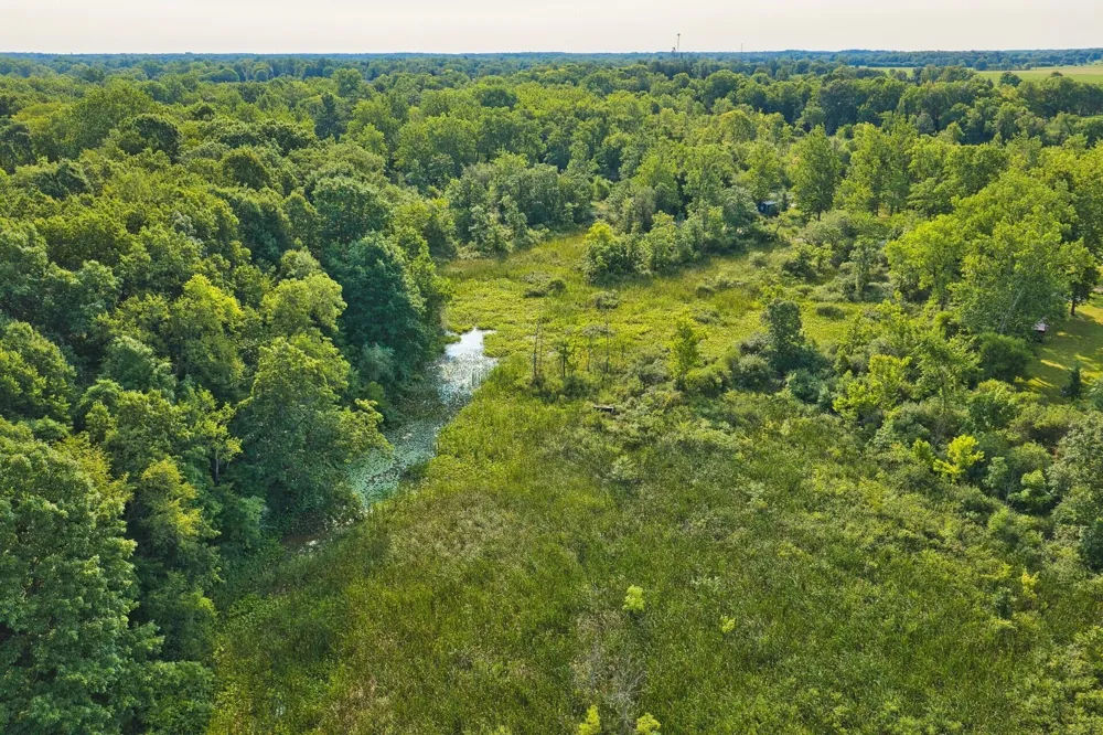 299 Rodeo Drive Union Township, MI 49094