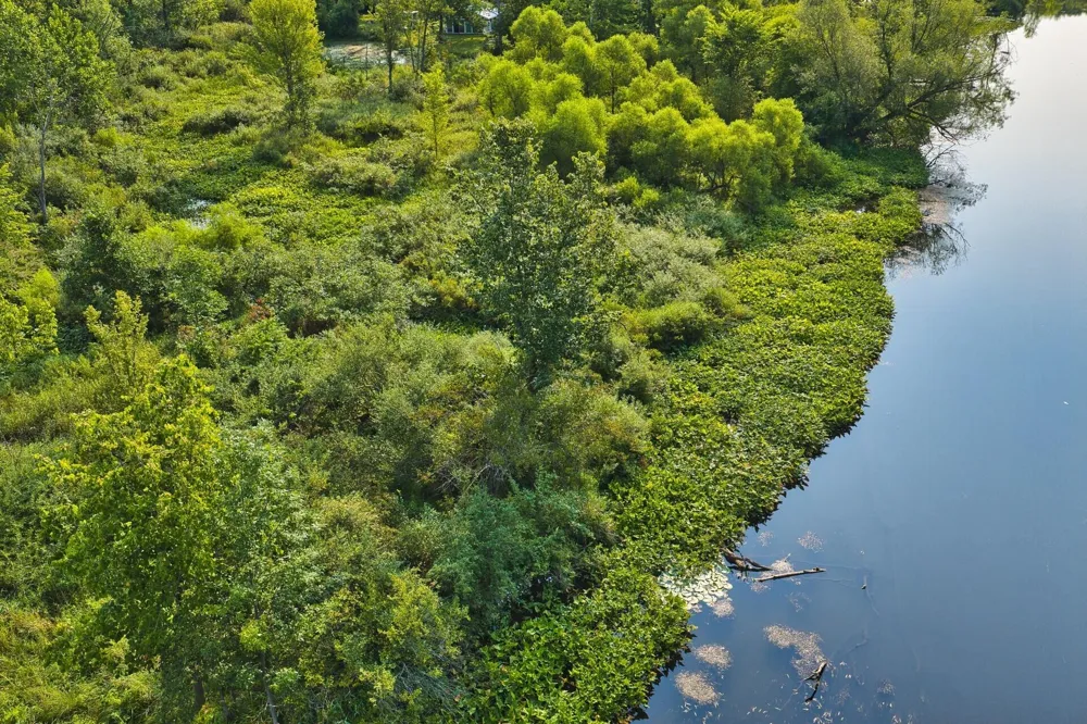 299 Rodeo Drive Union Township, MI 49094