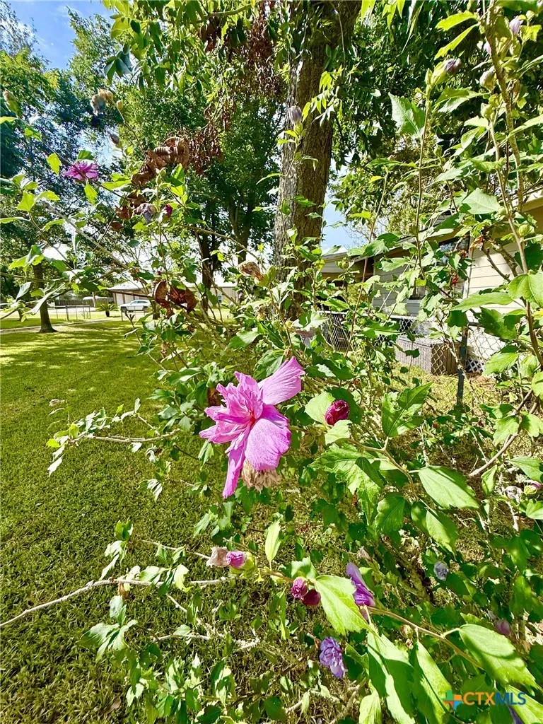 406 E Tres Palacios Avenue Palacios, TX 77465
