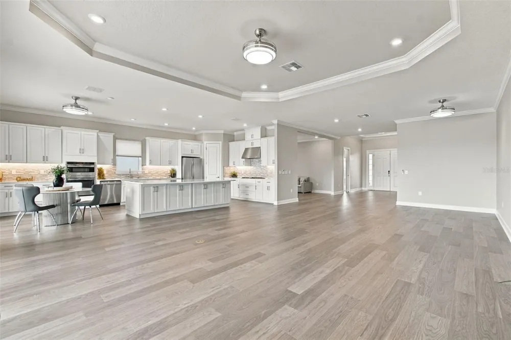 29596 TORICELLI ROAD Wesley Chapel, FL 33543