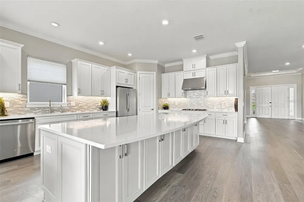 29596 TORICELLI ROAD Wesley Chapel, FL 33543