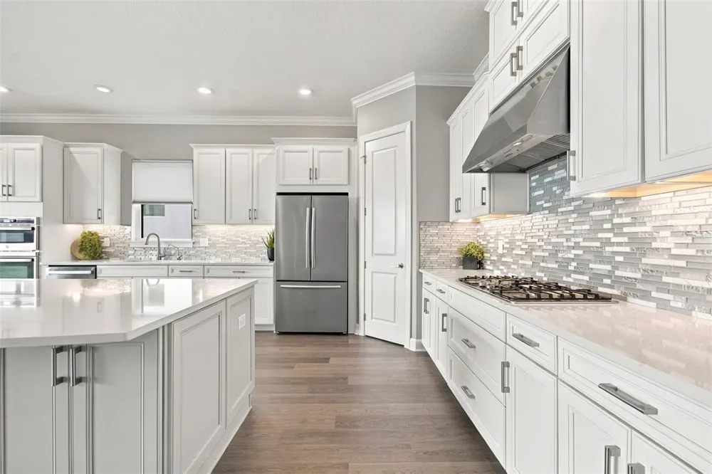29596 TORICELLI ROAD Wesley Chapel, FL 33543