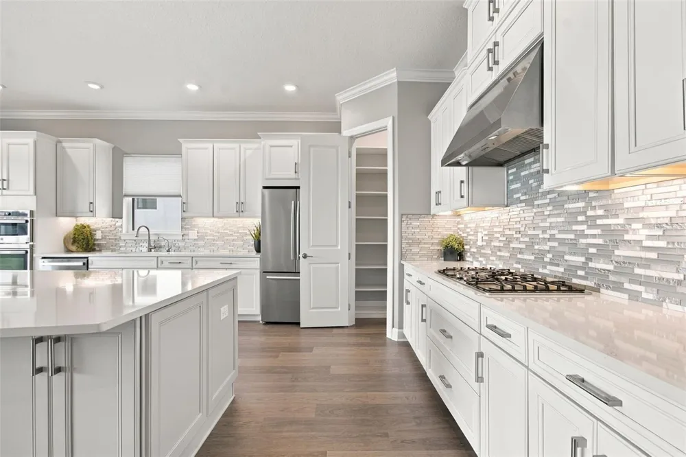 29596 TORICELLI ROAD Wesley Chapel, FL 33543
