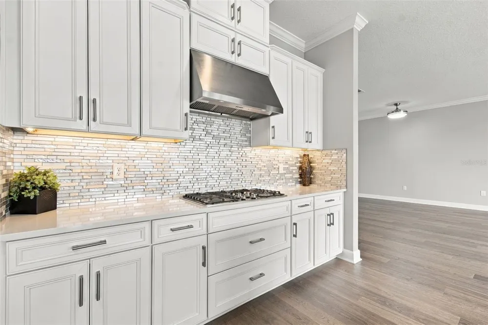 29596 TORICELLI ROAD Wesley Chapel, FL 33543