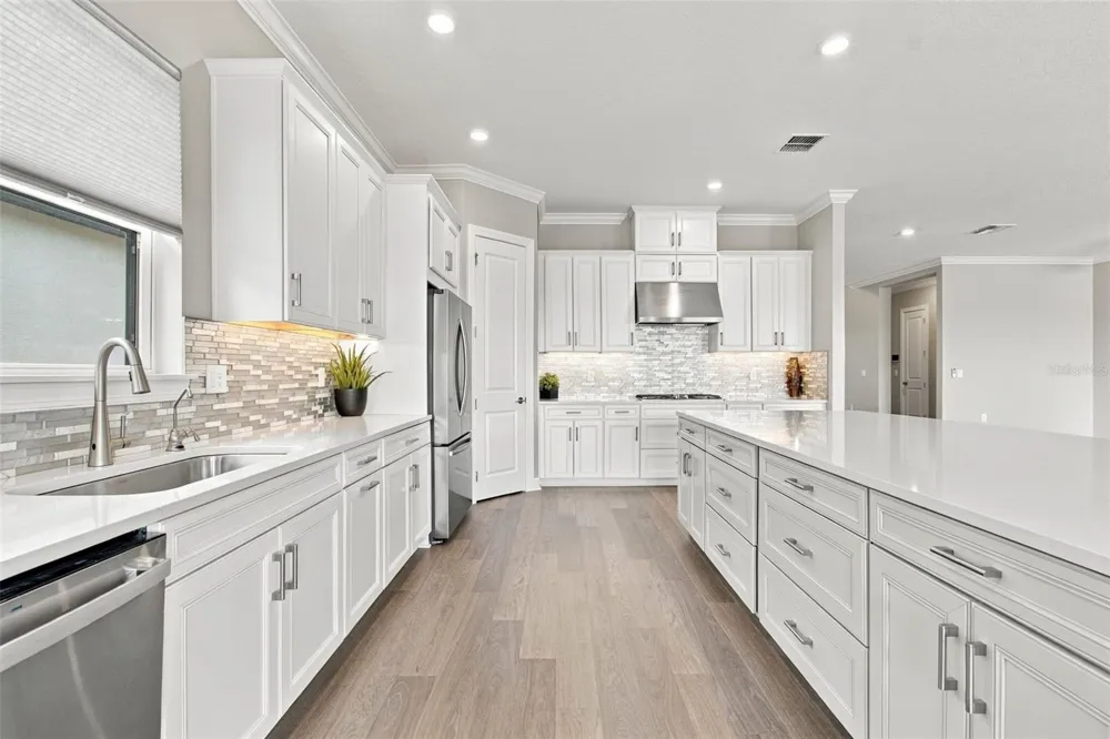 29596 TORICELLI ROAD Wesley Chapel, FL 33543
