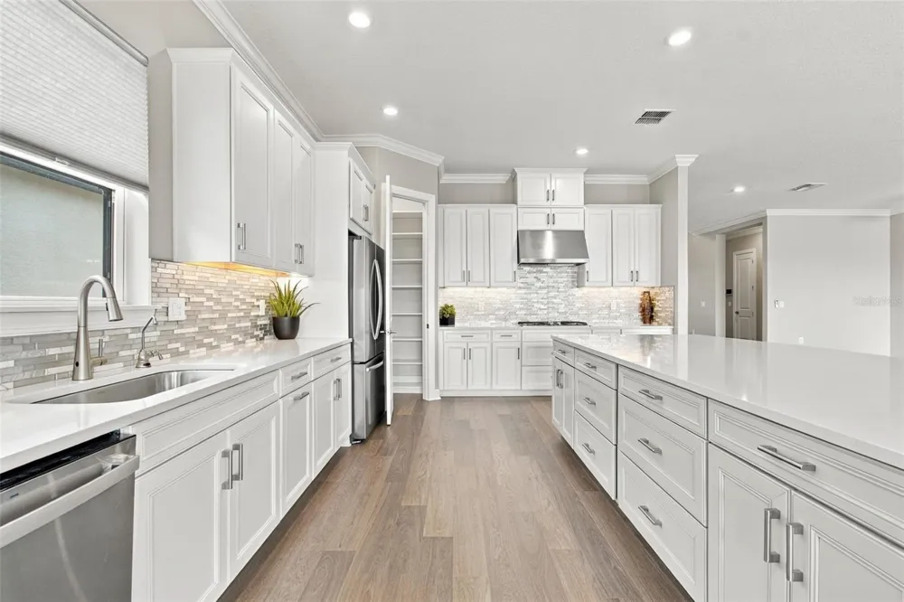 29596 TORICELLI ROAD Wesley Chapel, FL 33543