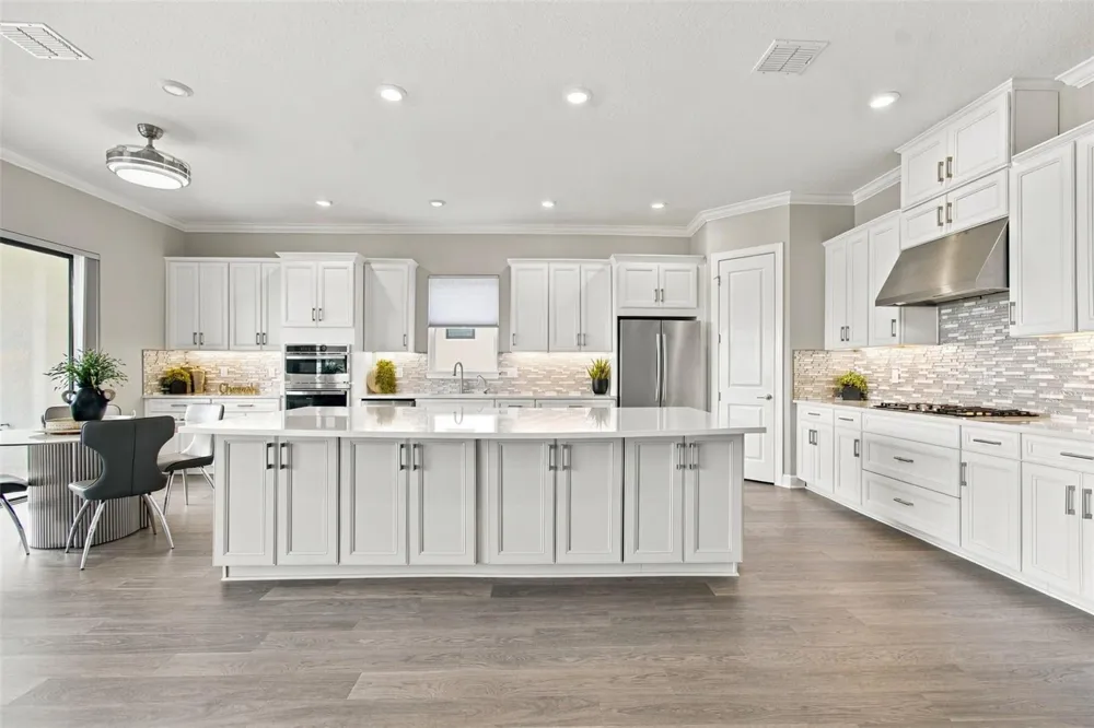 29596 TORICELLI ROAD Wesley Chapel, FL 33543
