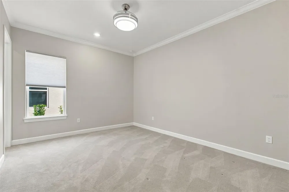29596 TORICELLI ROAD Wesley Chapel, FL 33543