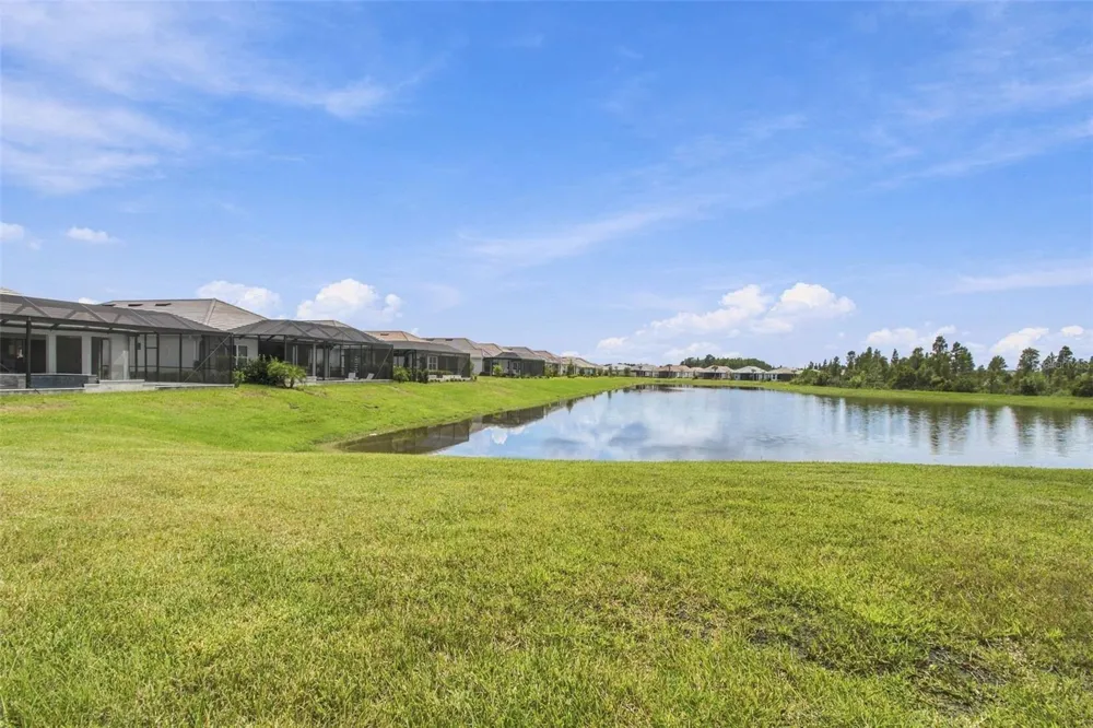 29596 TORICELLI ROAD Wesley Chapel, FL 33543