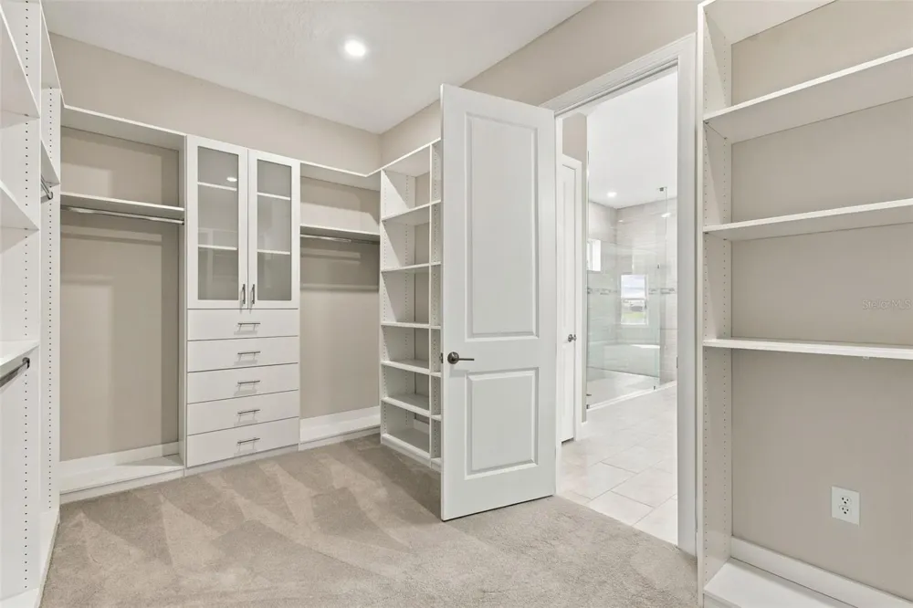 29596 TORICELLI ROAD Wesley Chapel, FL 33543
