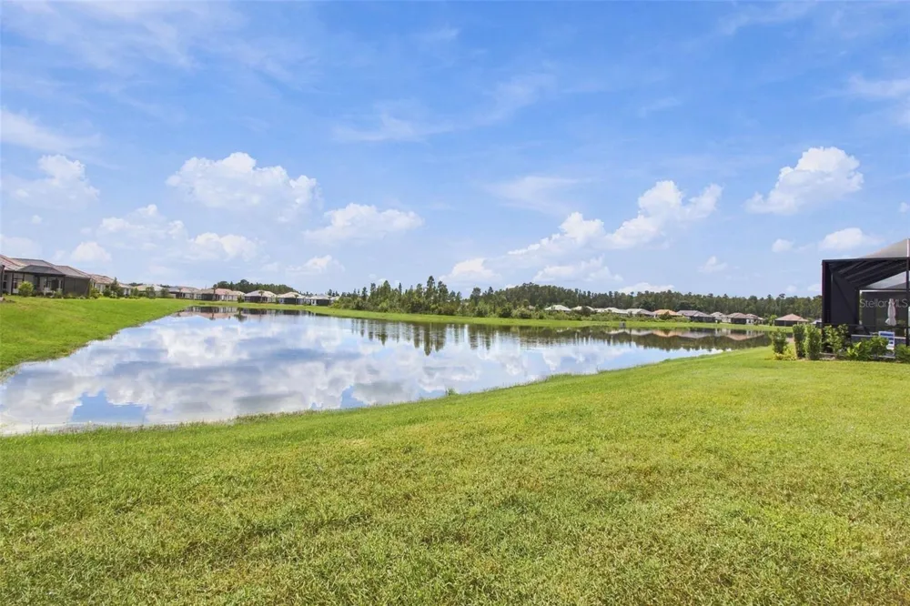 29596 TORICELLI ROAD Wesley Chapel, FL 33543