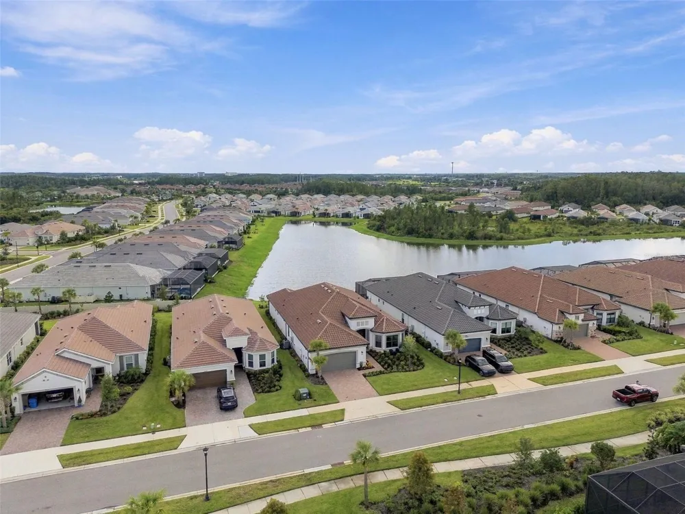 29596 TORICELLI ROAD Wesley Chapel, FL 33543
