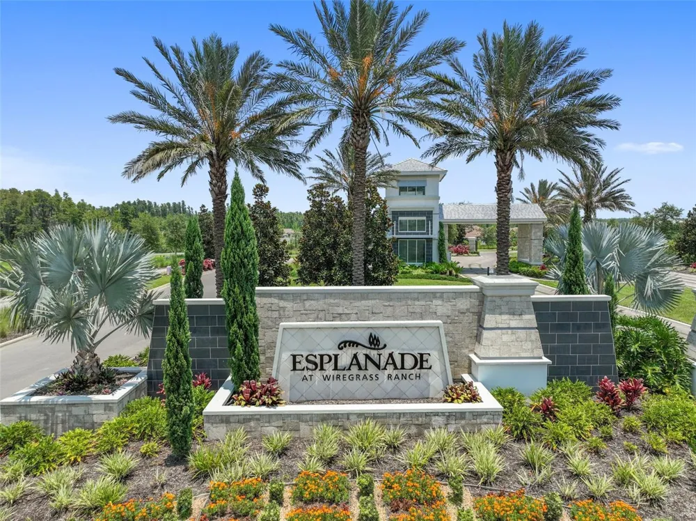 29596 TORICELLI ROAD Wesley Chapel, FL 33543