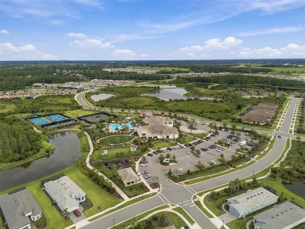 29596 TORICELLI ROAD Wesley Chapel, FL 33543