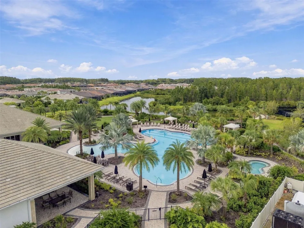 29596 TORICELLI ROAD Wesley Chapel, FL 33543