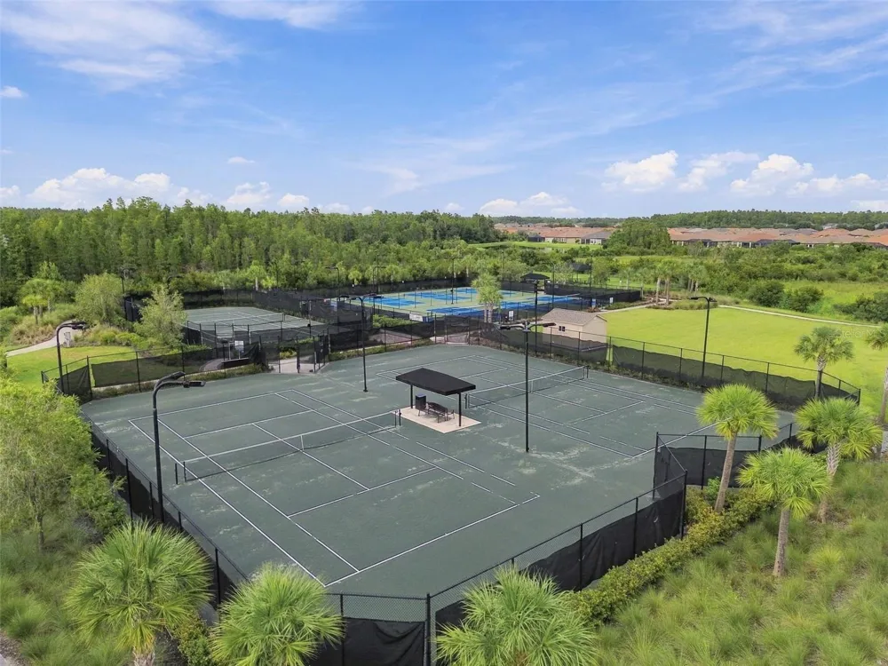29596 TORICELLI ROAD Wesley Chapel, FL 33543