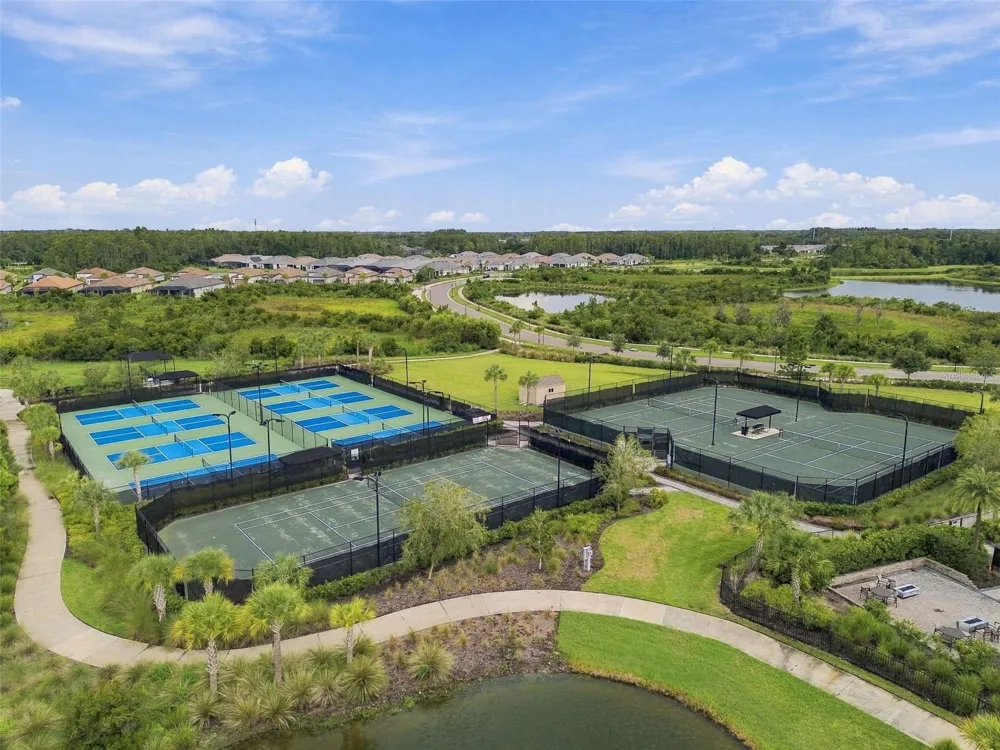 29596 TORICELLI ROAD Wesley Chapel, FL 33543