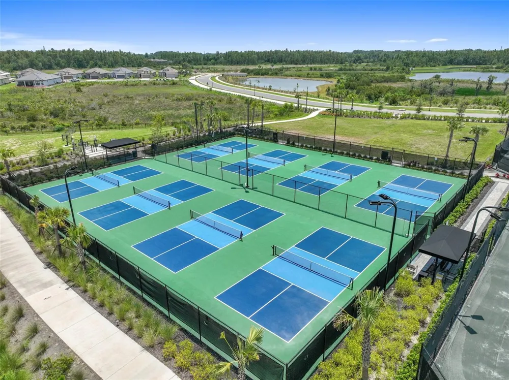 29596 TORICELLI ROAD Wesley Chapel, FL 33543