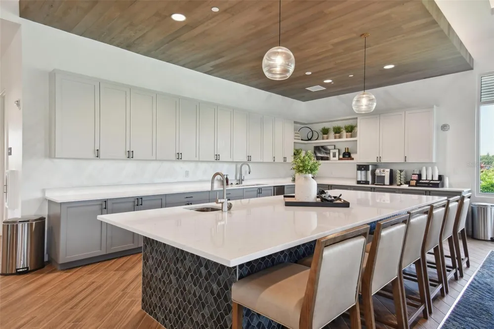 29596 TORICELLI ROAD Wesley Chapel, FL 33543