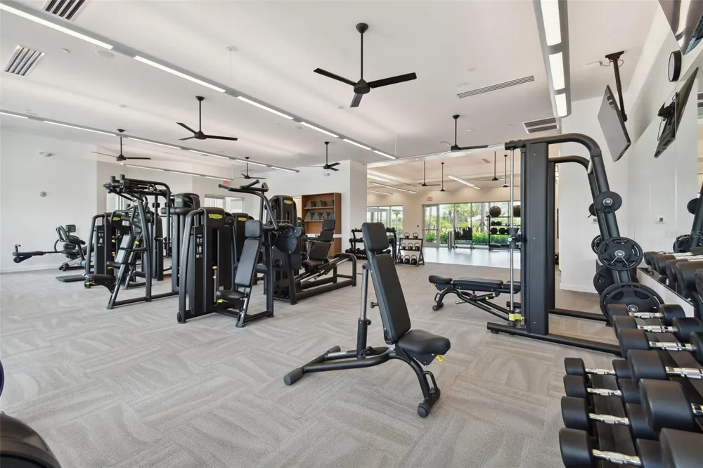 29596 TORICELLI ROAD Wesley Chapel, FL 33543