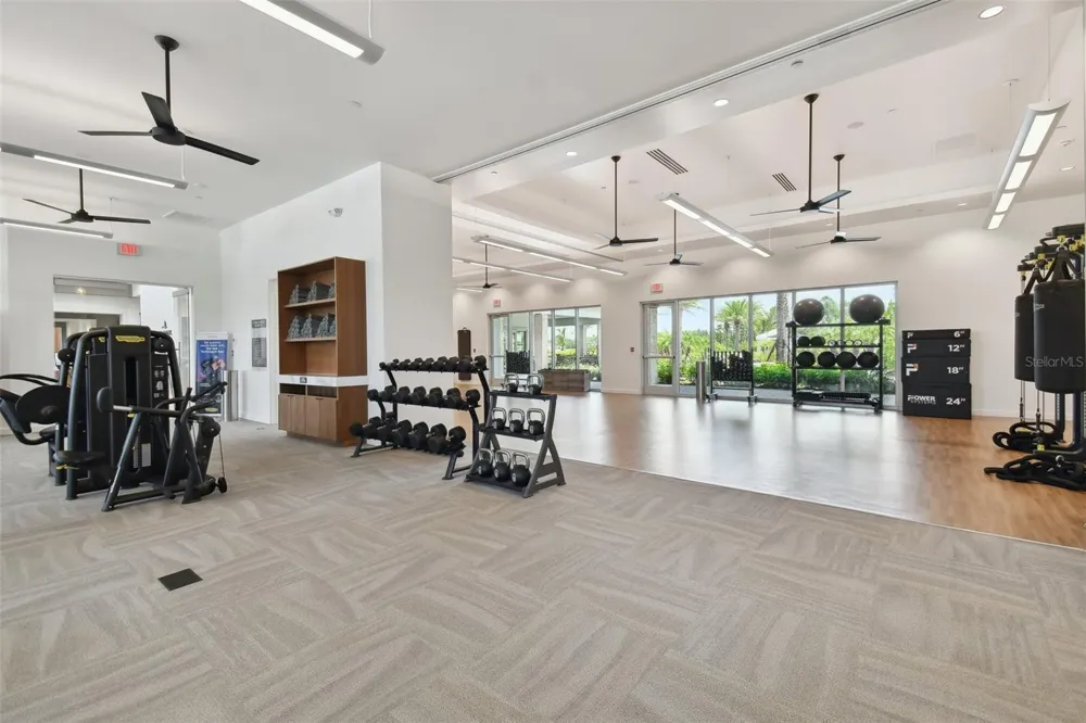 29596 TORICELLI ROAD Wesley Chapel, FL 33543
