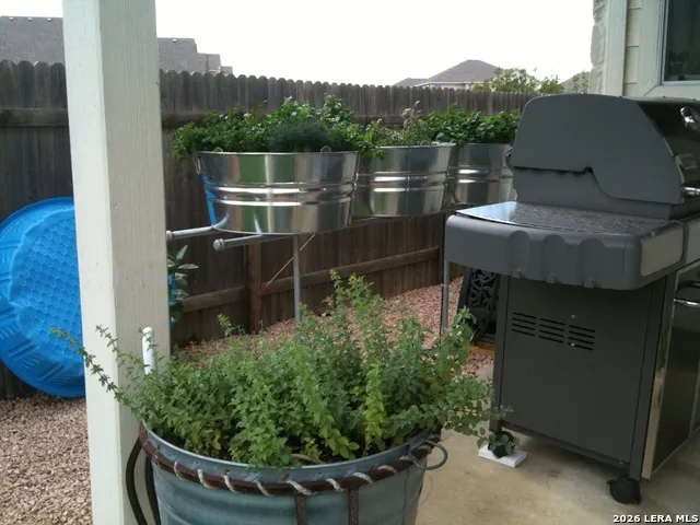 8206 Piney Wood Run San Antonio, TX 78255