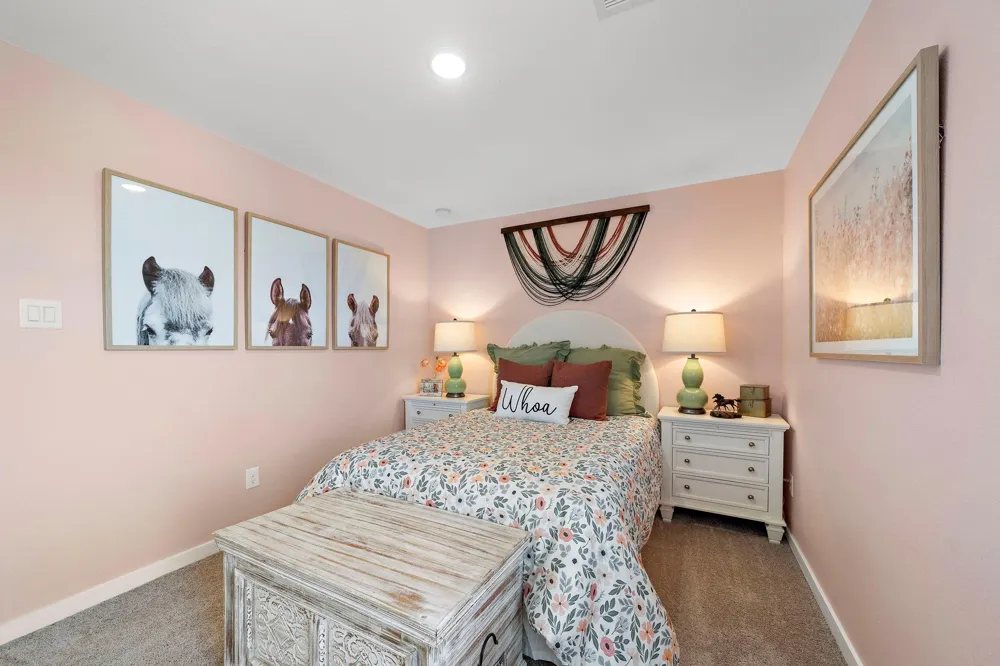 17142 King Eider Road Waller, TX 77484