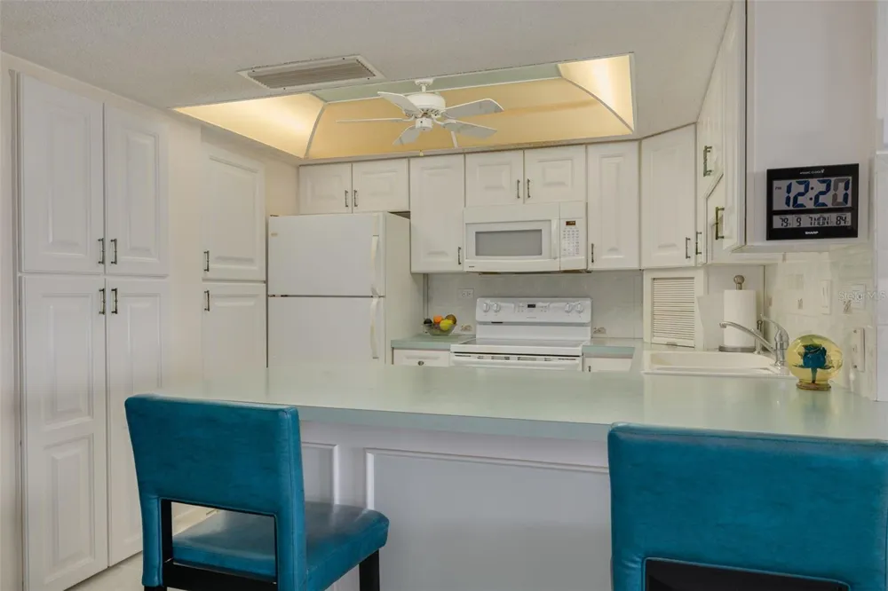 450 TREASURE ISLAND CAUSEWAY #201 Treasure Island, FL 33706