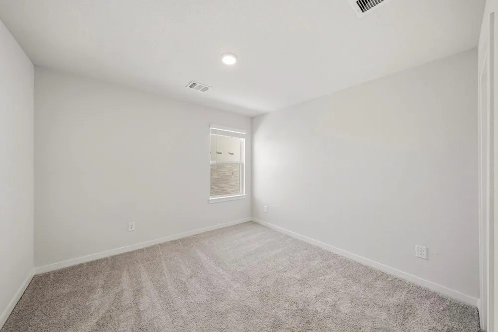 26206 Venus Trap Trail Katy, TX 77493