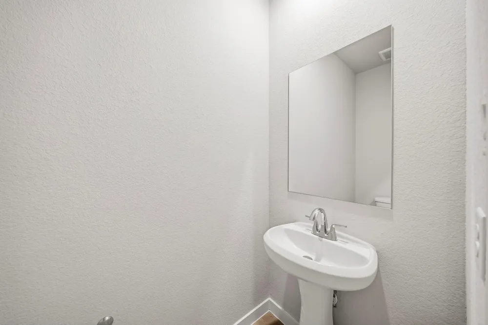 26206 Venus Trap Trail Katy, TX 77493
