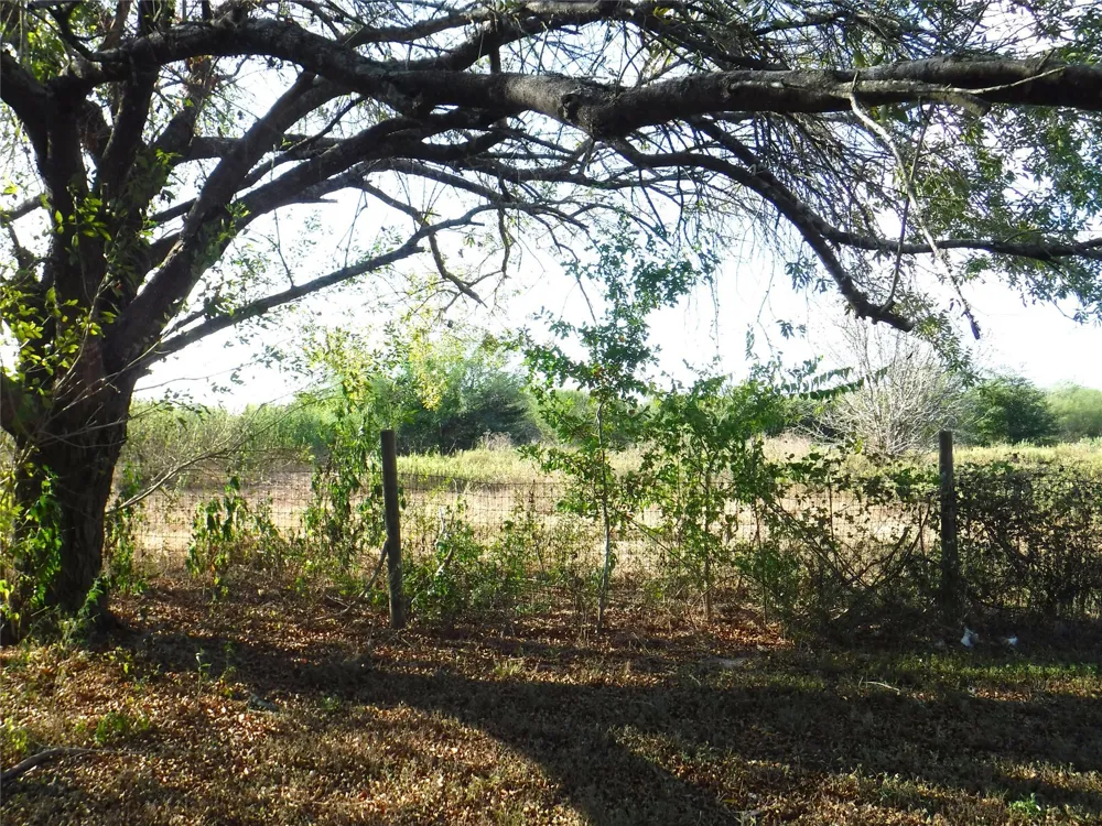 1142 Chestnut Lane Wallis, TX 77485