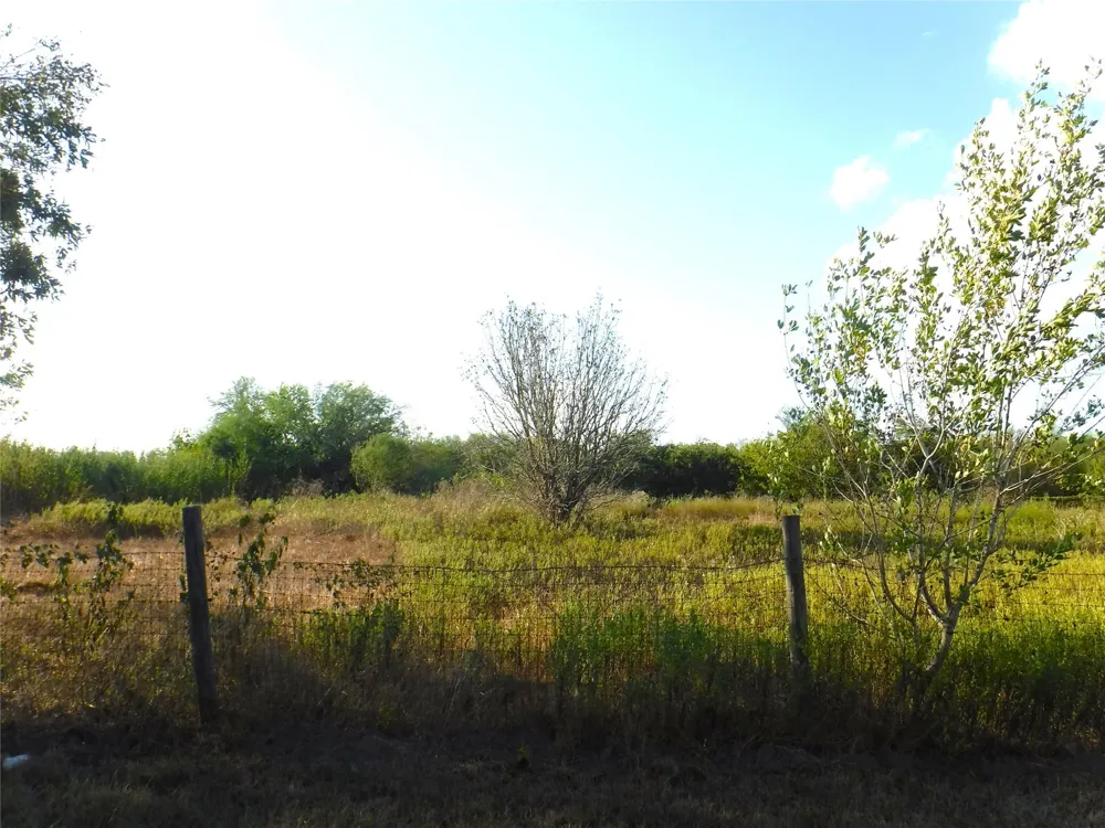 1142 Chestnut Lane Wallis, TX 77485