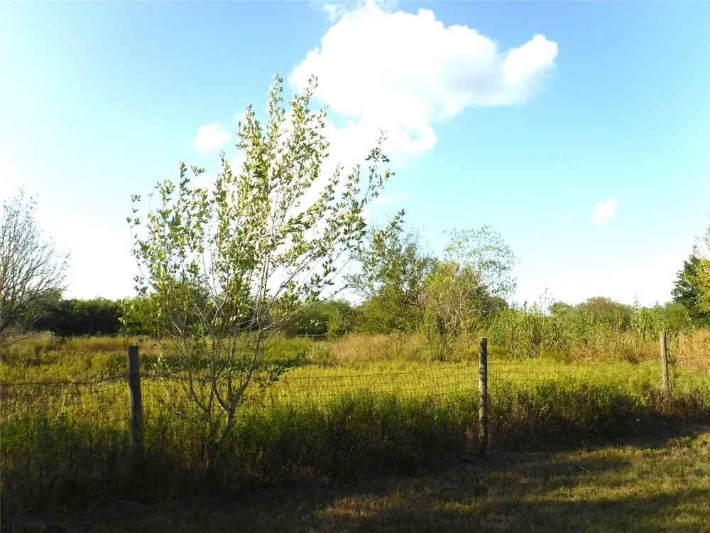 1142 Chestnut Lane Wallis, TX 77485