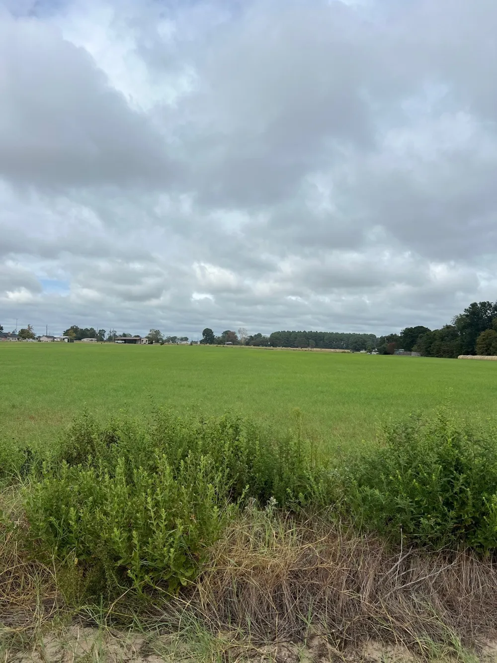 14018 COUNTY ROAD 4122 Lindale, TX 75771