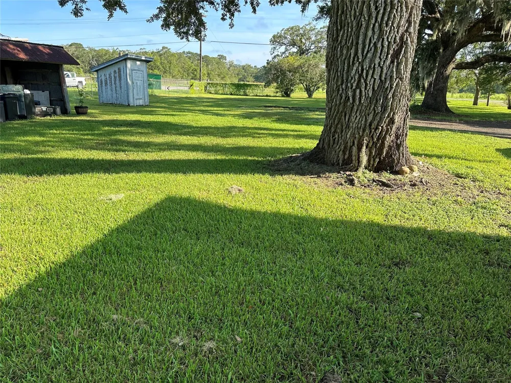 5249 County Road 353 Brazoria, TX 77422