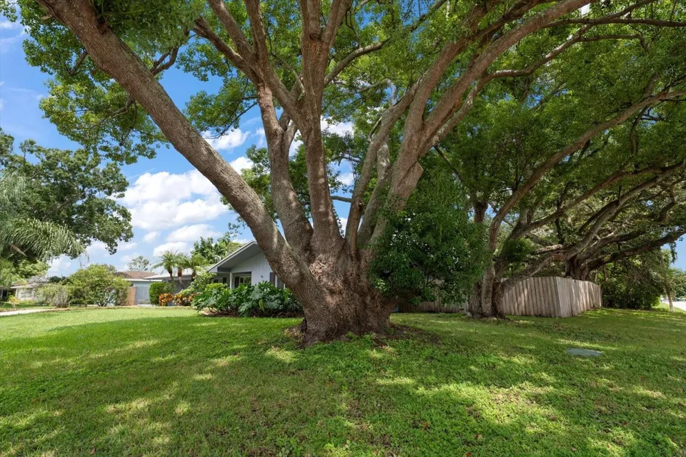 1 MAPLEWOOD AVENUE Clearwater, FL 33765