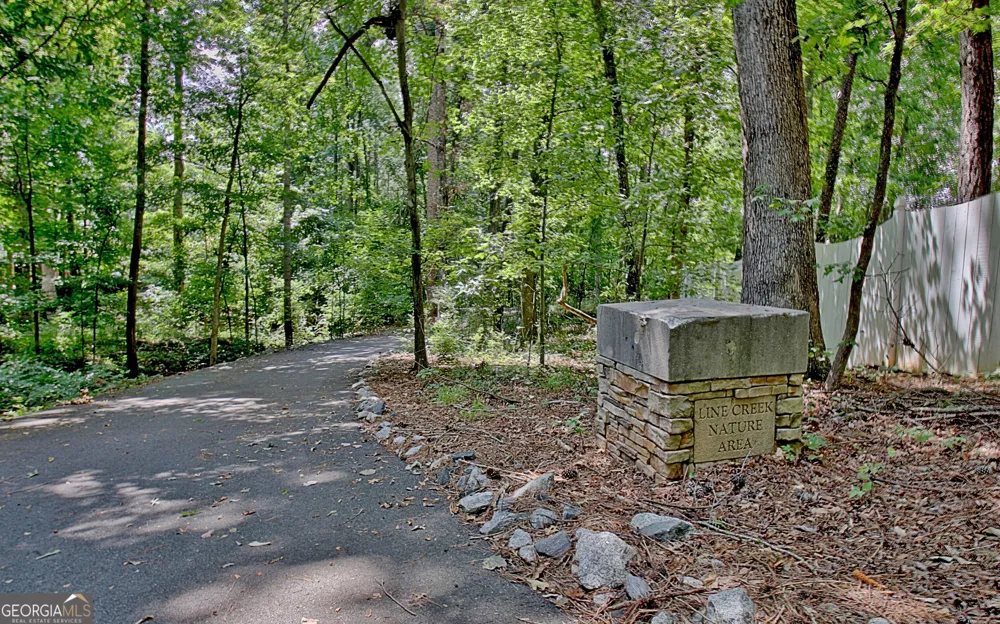 1020 Patina PT Peachtree City, GA 30269