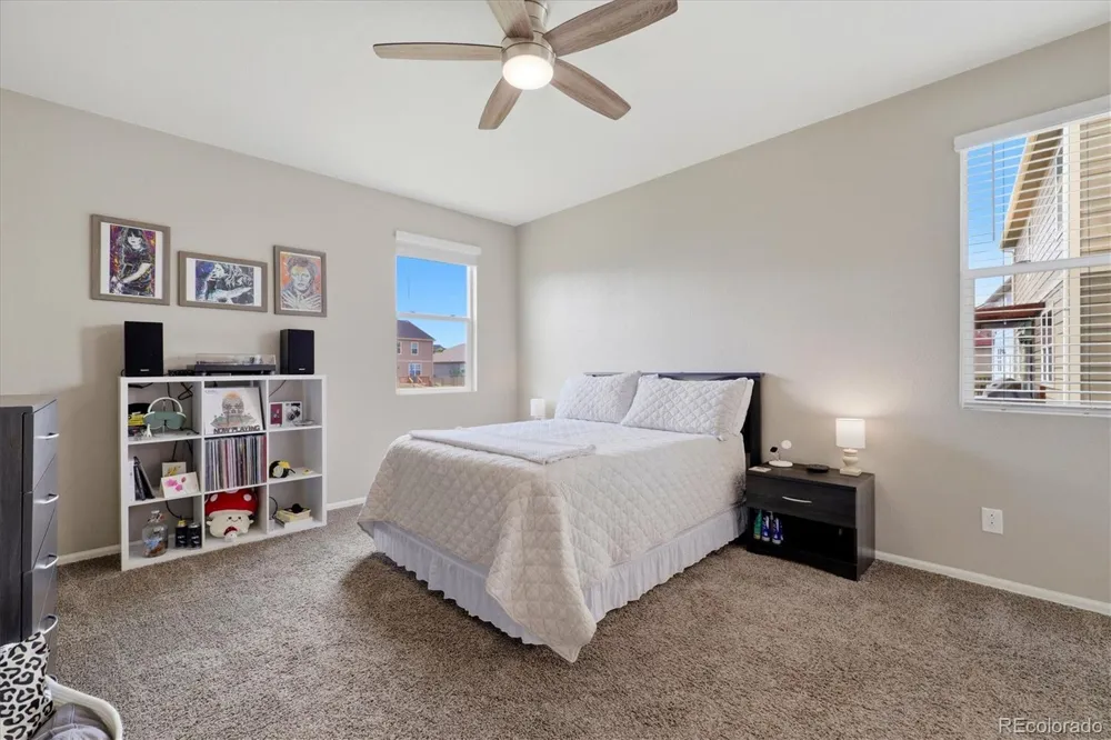 326 Jay Avenue Windsor, CO 80550