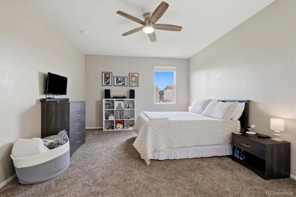326 Jay Avenue Windsor, CO 80550