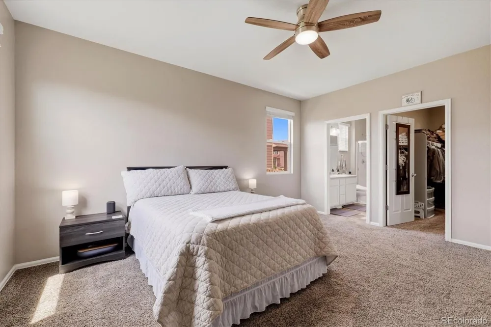326 Jay Avenue Windsor, CO 80550