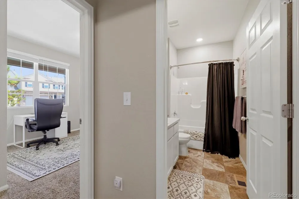 326 Jay Avenue Windsor, CO 80550