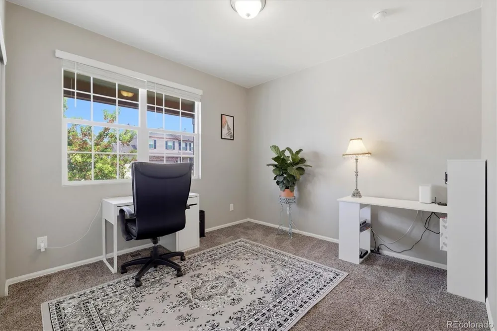 326 Jay Avenue Windsor, CO 80550