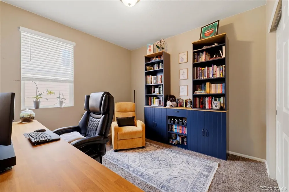 326 Jay Avenue Windsor, CO 80550