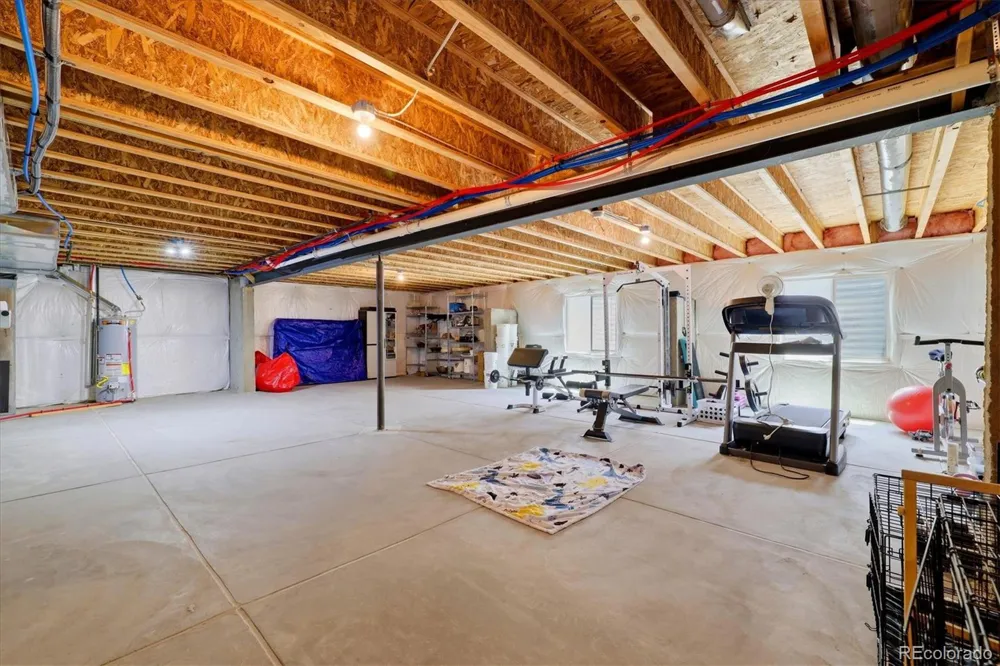 326 Jay Avenue Windsor, CO 80550