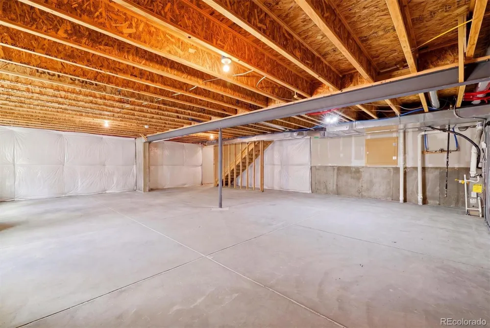 326 Jay Avenue Windsor, CO 80550