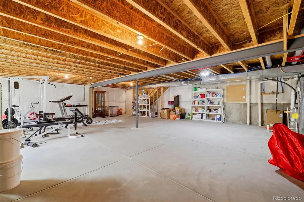 326 Jay Avenue Windsor, CO 80550