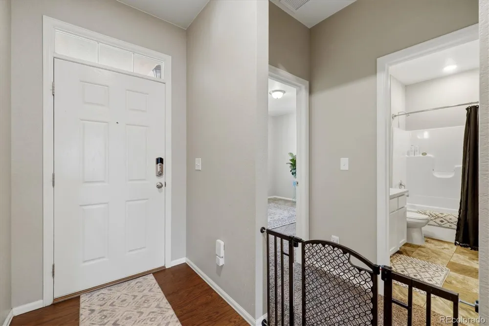 326 Jay Avenue Windsor, CO 80550