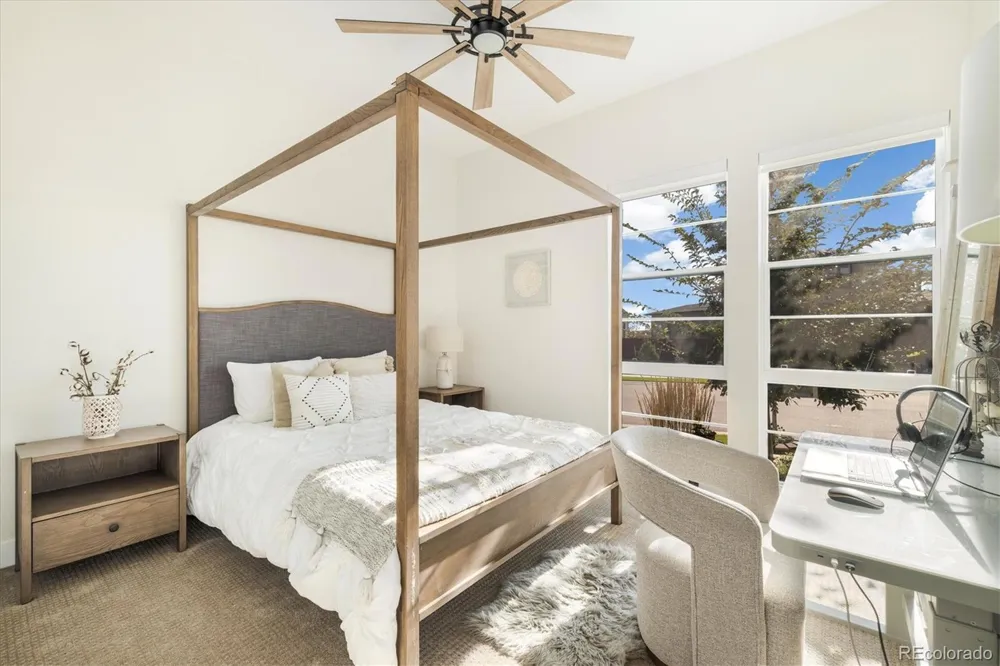 1674 Flourish Drive Windsor, CO 80550