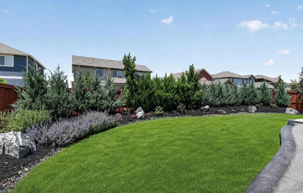 1674 Flourish Drive Windsor, CO 80550