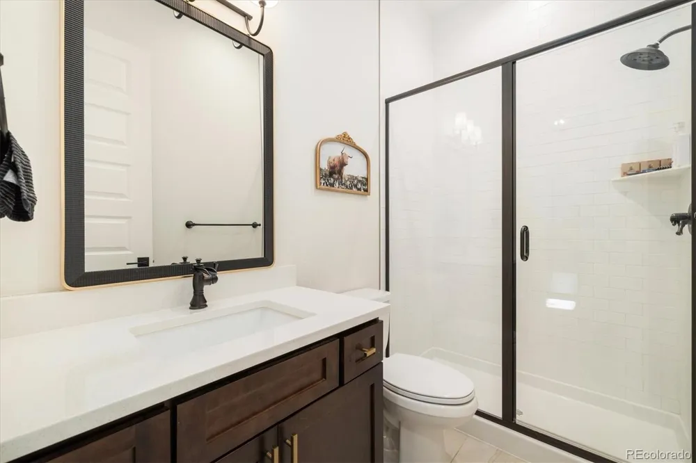 1674 Flourish Drive Windsor, CO 80550